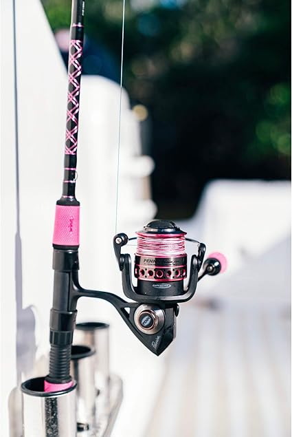 penn passion 4000 combo