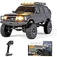 BEEZRC FMS RC Crawler 1/18 FCX18 Land Cruiser LC80 Pro Brushless RTR Toyota 4WD RC Rock Truck 900mAh Hobby RC Car for Adult Model Remote Control Car Off Road Vehicle (Black)