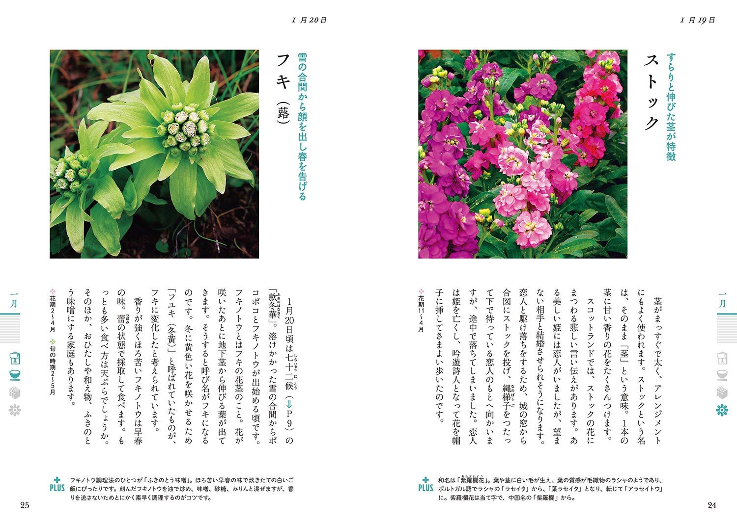 一日一花を愉しむ 花の歳時記366 初代 金田 洋一郎 金田 本 通販 Amazon 一日一花を愉しむ 花の歳時記366 初代 金田 洋一郎 金田 本 通販 Amazon