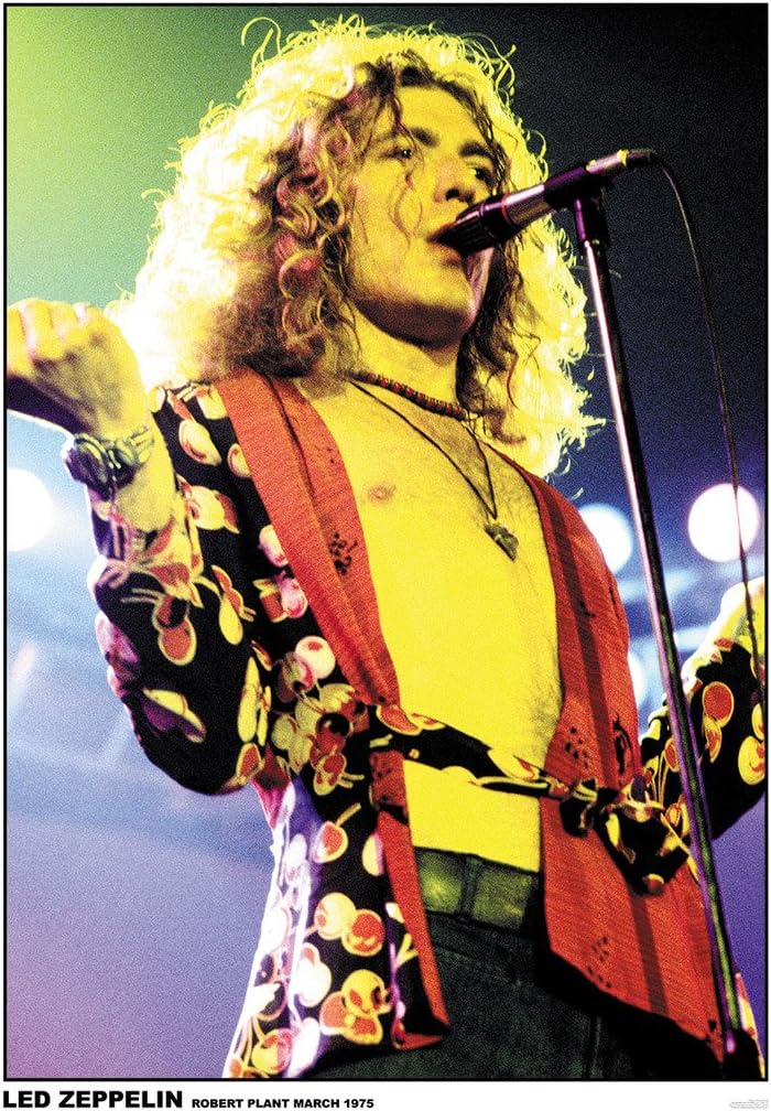 Led Zeppelin Robert Plant 1975 Music Album Rock Roll Vintage Cool Wall Decor Art Print Poster 23.5x33
