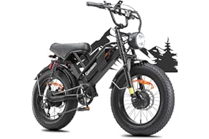 Electric Bike for Adults, 2000W/1000W Fat Tire Ebike 30MPH Dual Motor Electric Bike with Removable 48v 20.8ah Lithium Battery