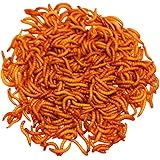 zoo med mealworm feeder