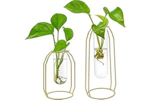 IVOLADOR I Ivolador Modern Tabletop Plant Terrariums with 2 Test Tube in Metal Frame Perfect for Propagating Hydroponic Plants Home Garden Wedding Decoration (Golden)