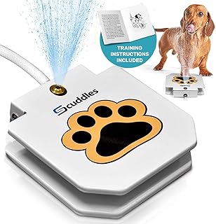 animal planet interactive pet sprinkler
