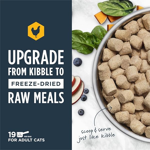 INSTINCT RAW MEALS FREEZE-DRIED CHICKEN CAT FOOD, 9.5 OZ. BAG