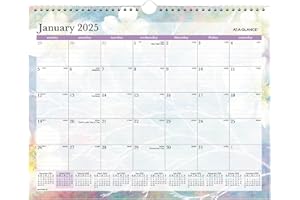 2025 AT-A-GLANCE Dreams Monthly Wall Calendar, 15" x 12", January To December, PM83-707