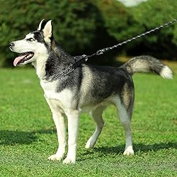CBBPET Dog Prong Collar, Adjustable Dog Training