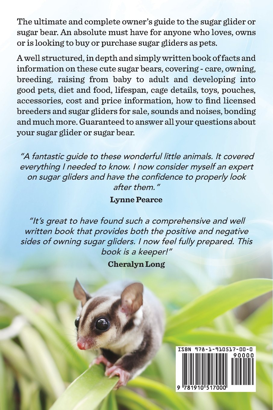 Sugar Glider Facts For Kids Kids Matttroy