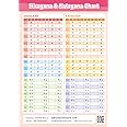 Japanese Hiragana Katakana and Useful Words For Daily Life Chart