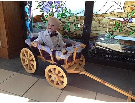 baby flower girl in wagon