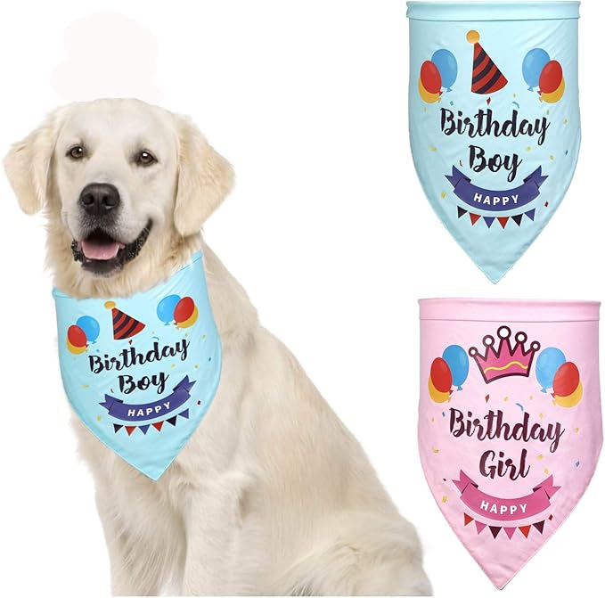 dog birthday scarf