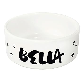 1 Personalized Pet Cat Dog Water Food Dish Bowl Small Dishes