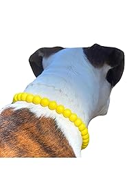 Dog Necklace