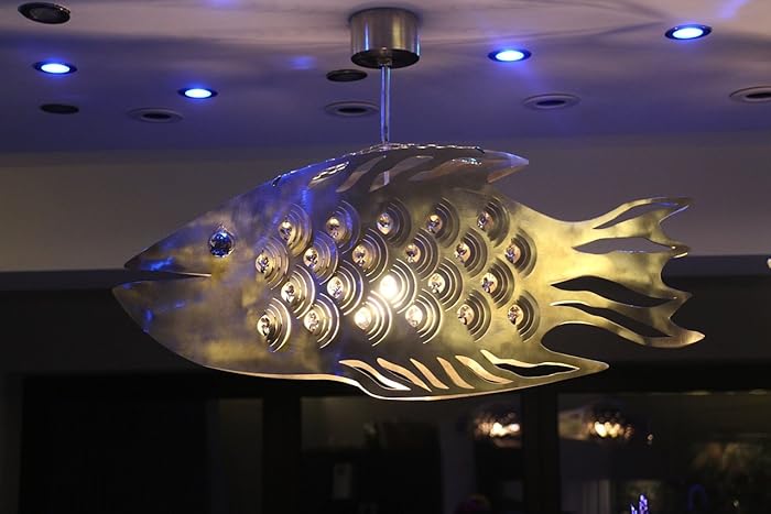 Amazon Com Ceiling Light Cod Fish Unique Design Stainless Steel