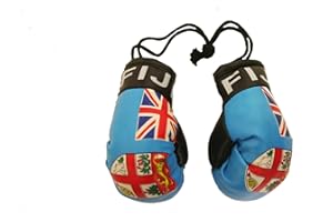 Fiji Mini Boxing Gloves to Hang Over Your Automobile Mirror New
