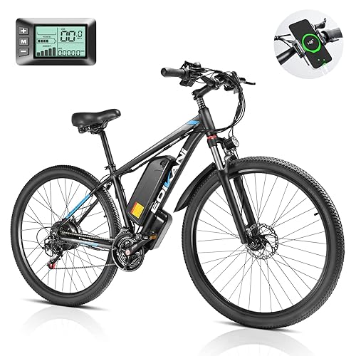 29” Electric Bike for Adults with 750W Brushless Motor 48V