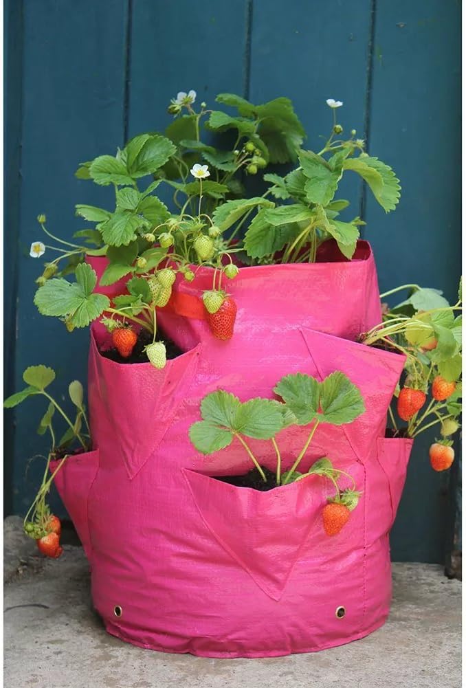 Large 45 Litre Plastic Herb Strawberry Planter Grow Bag