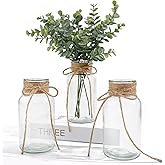 Vintage Glass Vases for Flowers, Set of 3 Clear Vases for Farmhouse Wedding Centerpiece Cylinder Bottle for Reception Table Decoration Home Decor Floral Arrangements