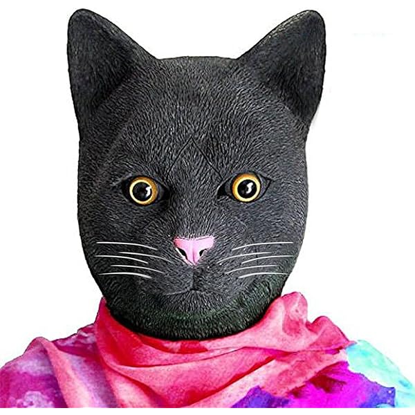 Amazon.com: Fun Costumes Adult Black Cat Costume, Cat One