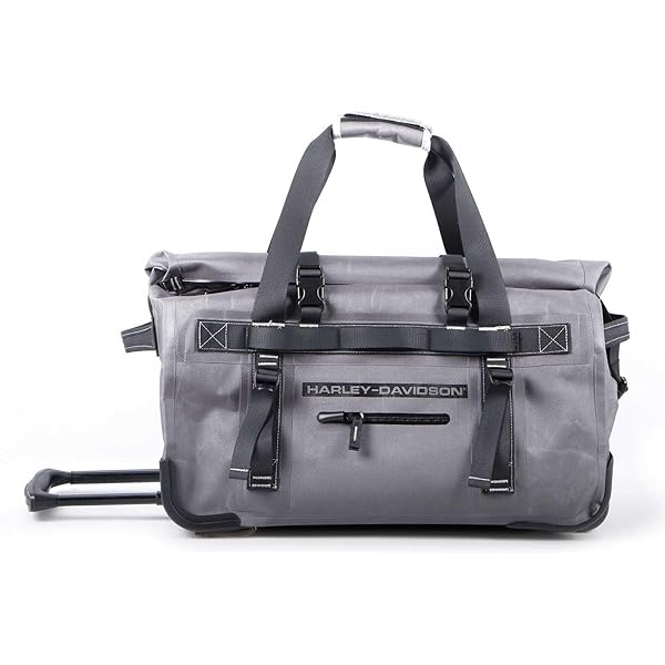 Amazon.com: Harley-Davidson 29