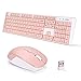 Beautiful pink keyboard and mouse!