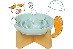 FULLCHARM Slow Feeder Cat Bowl with Stand - Unbreakable Elevated Slow Feeder Bowl for Cats - Melamine Puzzle Raised Cat Food Bowl - Whisker Friendly & Wet & Dry Food- Dishwasher Safe & Non Slip (Green
