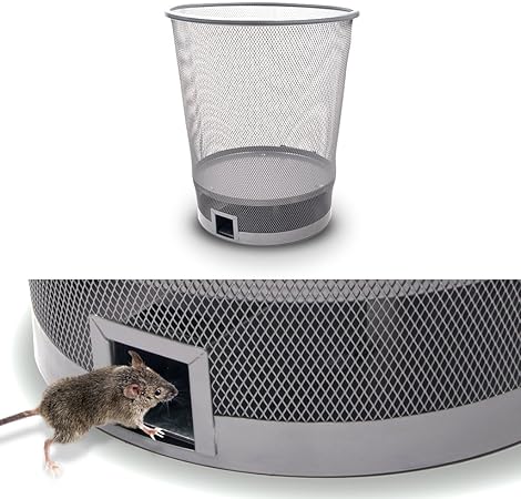 Cestino Gettacarte Trappola Per Topi Vivi Anti Roditori Amazon It Casa E Cucina
