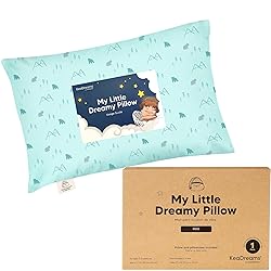 Mini Toddler Pillow with Pillowcase - 9x13 My