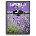 Lavender Seed for Planting - 1 Packet with Instructions to Plant and Grow Edible & Medicinal Lavandula Herbs in Your Home Vegetable Garden - Non-GMO Heirloom Variety - Survival Garden Seeds