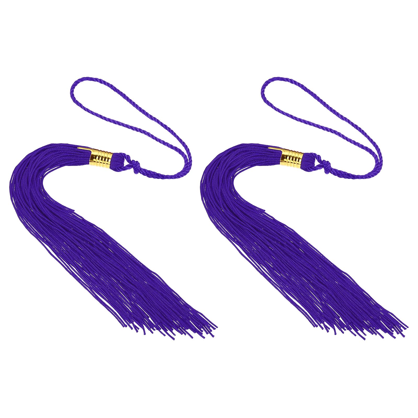 PATIKIL Graduation Cap Tassel, 2 Pcs Purple Polyester Tassel Charm for Graduation Cap Decorate, Ceremonies, Souvenirs