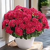 Alupssuc 12 Bundles Artificial Flowers for Outdoors Decoration Silk Geranium, UV Resistant Artificial Outdoor Fake Plants, Faux Flowers for Home Kitchen Table Indoor Outside Spring Decor, DeepPink