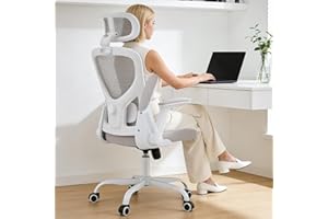 Office Chair,Ergonomic Office Desk Chair with 2D Adjustable Lumbar Support,3D Headrest,2D Arms,330LBS High Back Mesh Computer