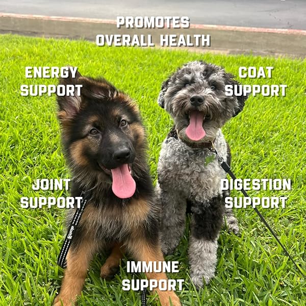 PUPVITAL MULTIVITAMIN TREATS FOR DOGS – GLUCOSAMINE FOR JOINT SUPPORT + SALMON OIL FOR SKIN & COAT HEALTH + IMMUNE HEALTH – ROAST BEEF FLAVOR – 90CT