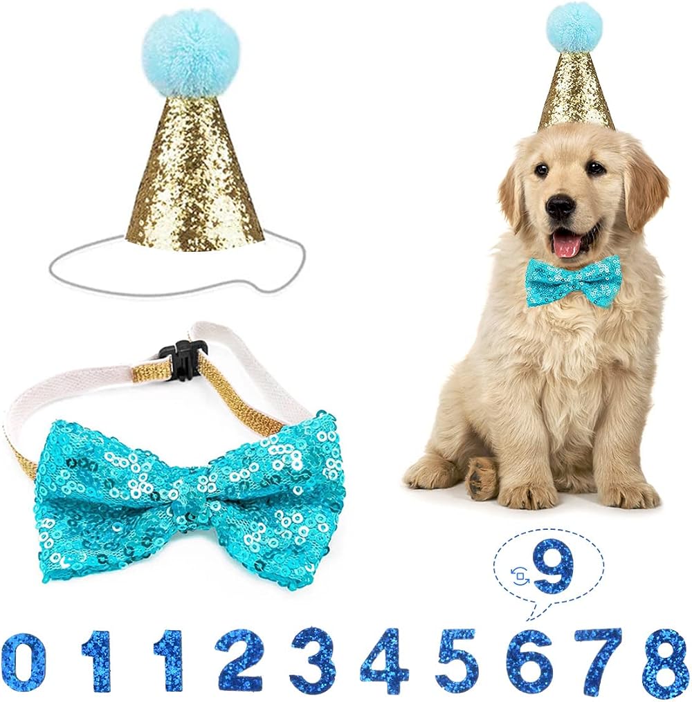Fantasyon Dog Birthday Hat with Bow Tie Blue Number Reusable Party Accessory