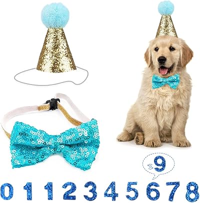 Fantasyon Dog Birthday Hat with Bow Tie Blue Number Reusable Party Accessory