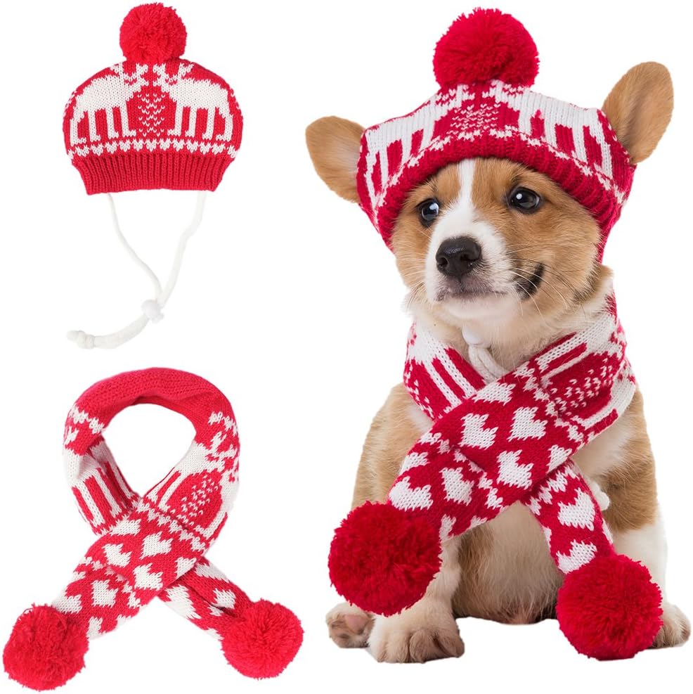 dog hat and scarf set