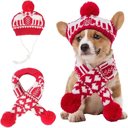 amazon dog christmas