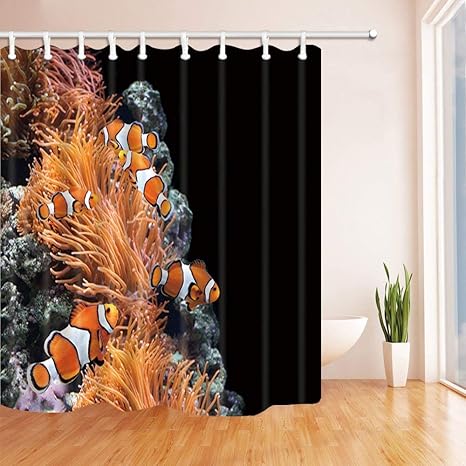 Amazon Com Rrfwq Sea Anemone And Clown Fish In Marine Aquarium