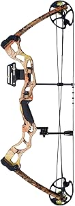 Best Compound Bow for the Money
