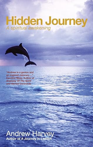 Download Hidden Journey: A spiritual awakening PDF
