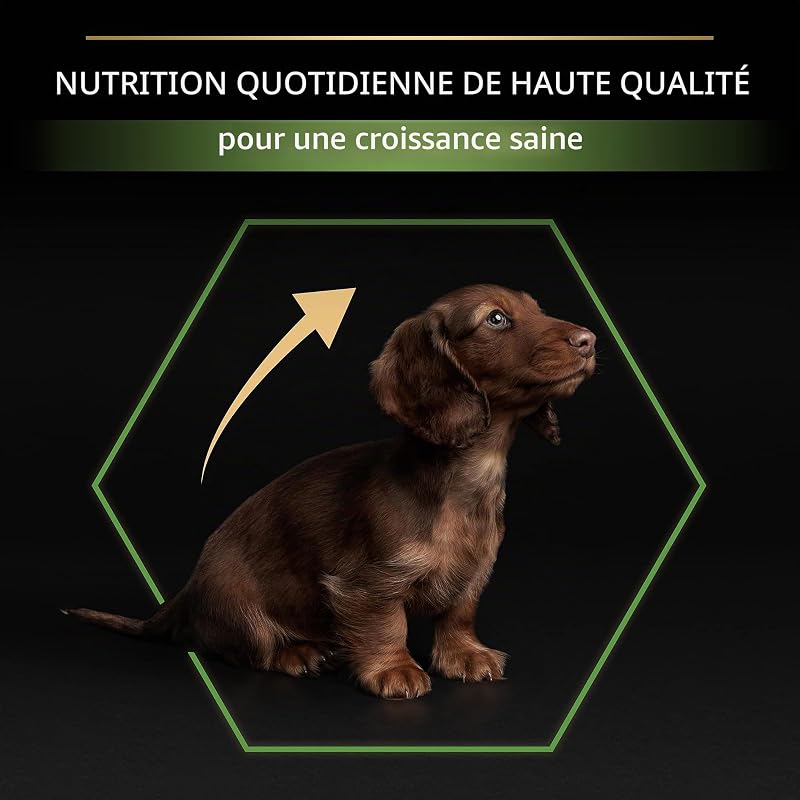 Pro Plan Small&Mini Puppy Start Croquettes pour Chien Chiot avec Colostrum 8 x 700 g
