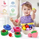 Seagoal Montessori Toys 1 Year Old Wooden Fruit Sorting Color Match 8 fruits view 3
