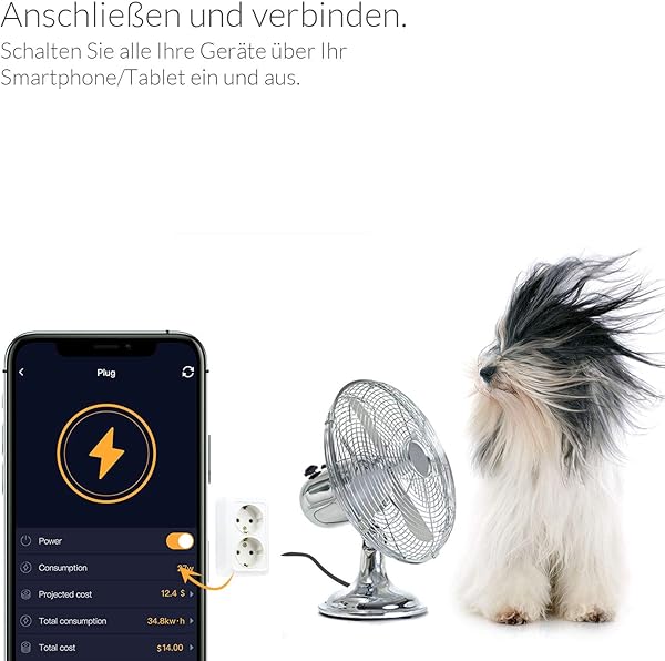 AduroSmart I Smart enchufe entre otras cosas compatible con AduroSmart Hue y Alexa color blanco 81856