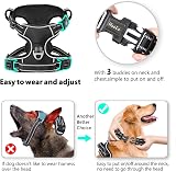 HEELE No Pull Dog Harness Large Reflective Adjustable Front Back Leash view 3