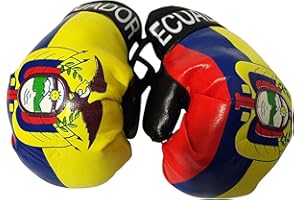 FNG MINI BOXING GLOVES Flag Mini Small Boxing Gloves to Hang Over Car Automobile Mirror – Americas(1-Pack, Country: Ecuador 2)
