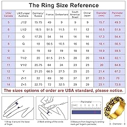 FaithHeart Personalized Custom Punk Rings for Men