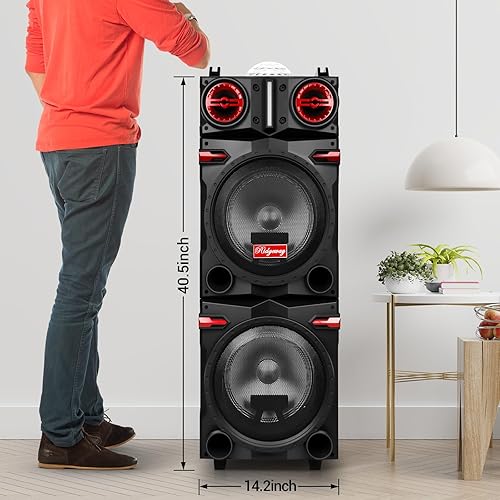 Portable Party Wireless Bluetooth Speaker with Dual 10