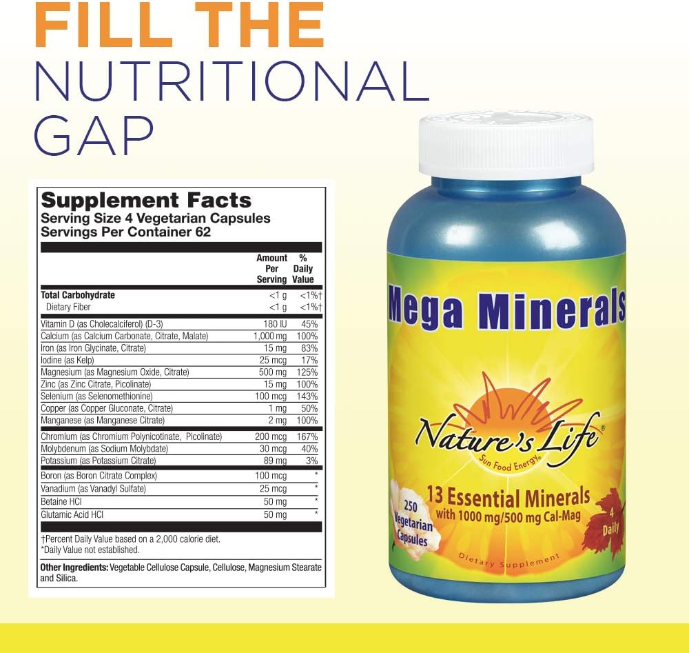 Nature’s Life Mega Minerals Complex | Complete Multi Mineral + Vitamin D Supplement | 250 Vegetarian Capsules: Health & Personal Care