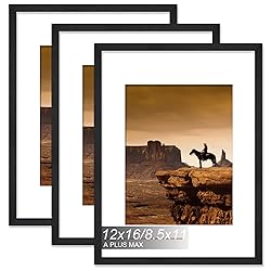 A PLUS MAX 12x16 Picture Frame Set of 3, Engineered