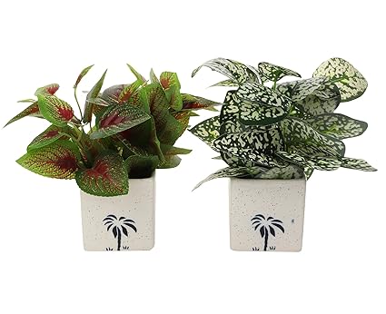 SHANAYRA Handmade White Nature Inspired Square Shape Ceramic Planter/Planting Pot